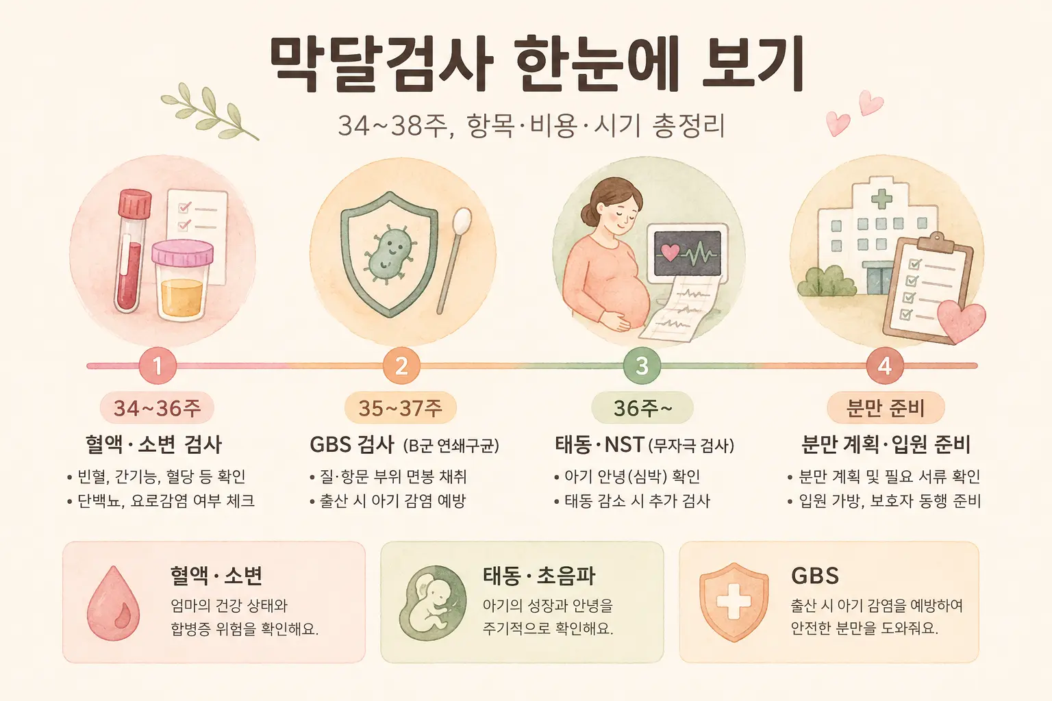 막달검사 항목·비용·시기 인포그래픽 — 임신 34~38주에 받는 혈액·소변·태동·GBS 검사, 평균 비용 83,005원, GBS 검사 35~37주 (AI 생성 이미지)