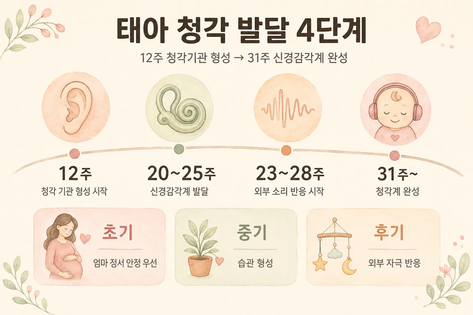태아 청각 발달 4단계 타임라인 — 12주 청각기관 형성부터 31주 신경감각계 완성까지 (AI 생성 이미지)